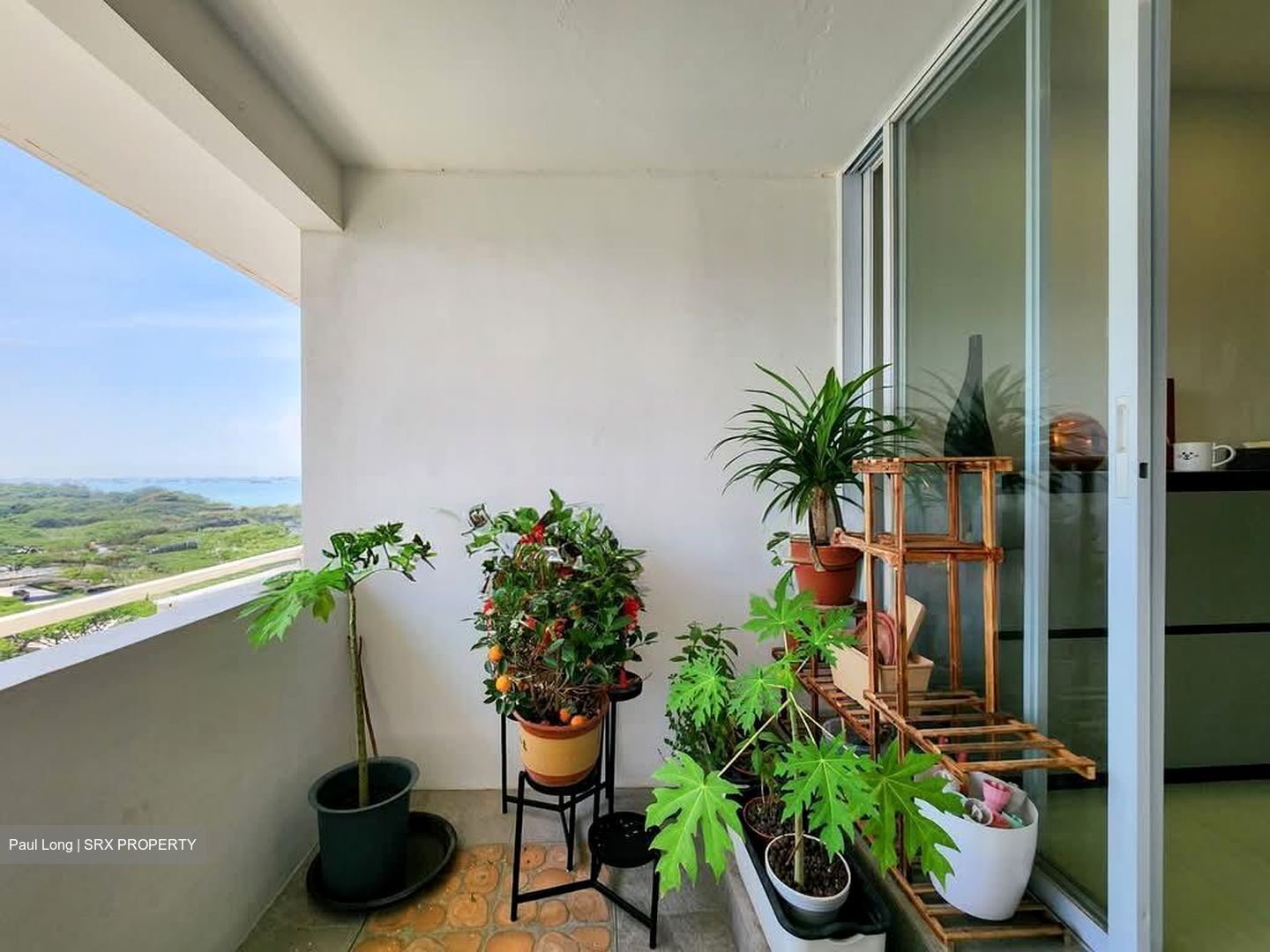 Peach Garden (D15), Apartment #561478541